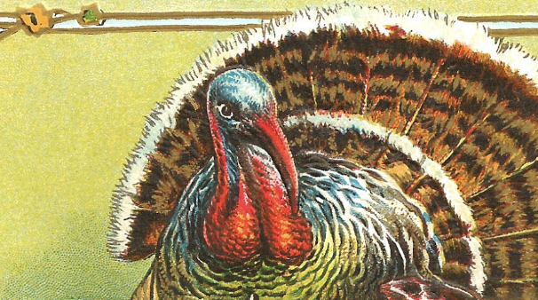 Thankful for You, Dear Reader